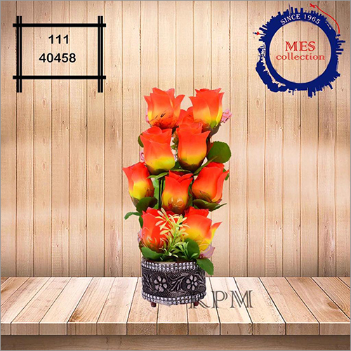 Indoor Decorative Plants