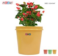 Evergreen-33 Flower Pot
