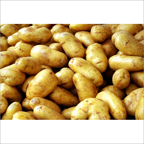 Preserved Fresh Potato