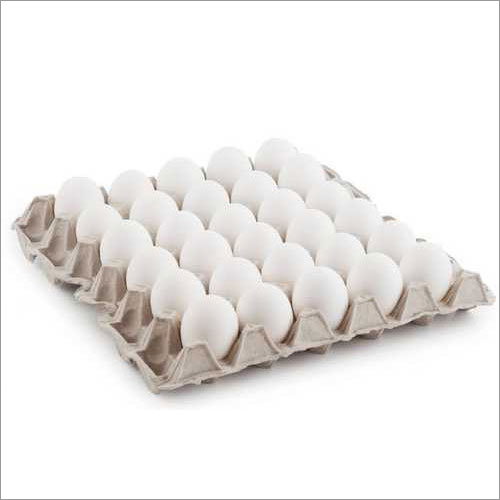 Fresh Hen White Eggs