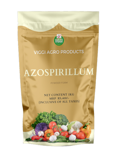 Azospirillum Bio Fertilizer