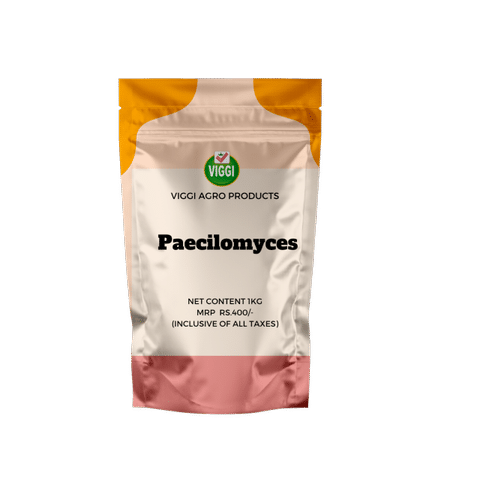 Paecilomyces Bio Fertilizer
