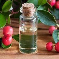 Wintergreen Essential Oil - Age Group: Adults