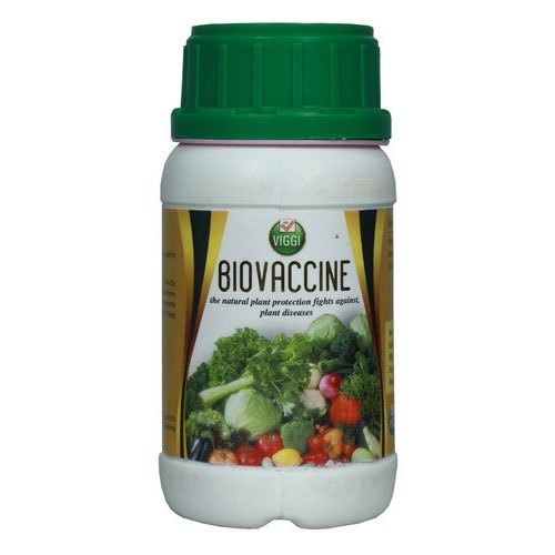 Chitosan Oligosaccharide Bio Vaccine