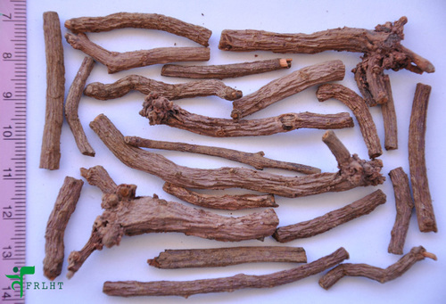 Rubie Cordifolia Dry Extract