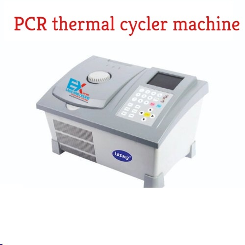 Labcare Export PCR Thermal Cycler Machine