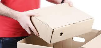 International Urgent Courier Services