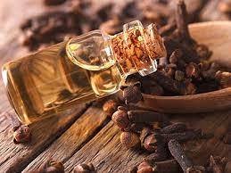 Clove Essential Oil