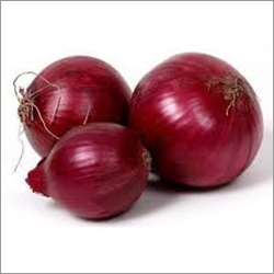 Fresh Red Onion By THIRU BALAJI TRADERS