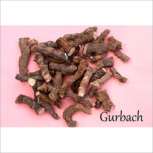 Gurbach