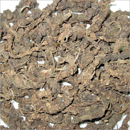 Valeriana Wallichi Dry Extract