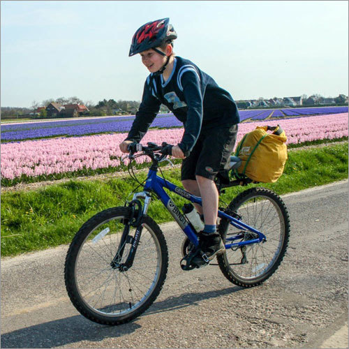 Kids Rock Lobster Bicycle
