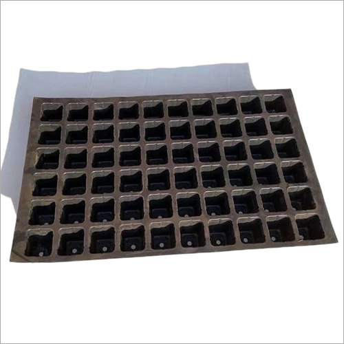 Plastic 60 Cavity Seedling Tray