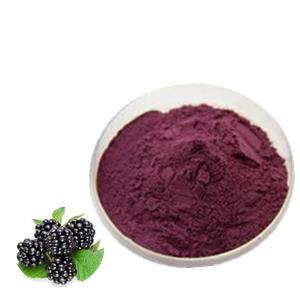 Blackberry Fruit Extract