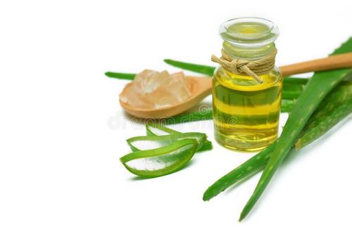 Aloe Vera  Essential Oil