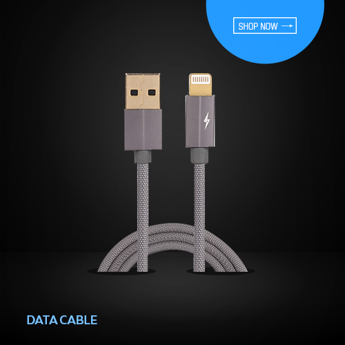 Dc-X11 2.4 Amp I Phone Fast Bluei Data Cable Length: 1  Meter (M)