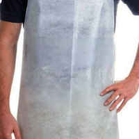 Non Woven Apron