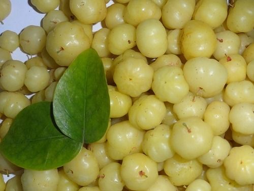 Amla Oil Extract Purity(%): 100 %