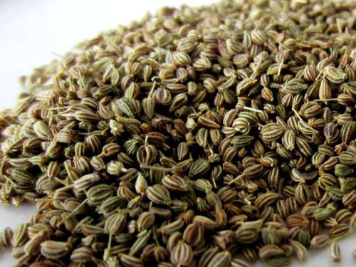 Ajwain Oil Extract