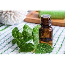 Spearmint Essential Oil