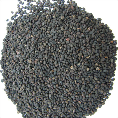 Bavchi Oil Extract