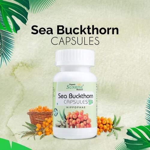 Herbal Medicine Sea Buckthorn Capsule