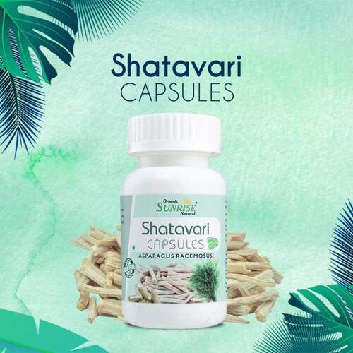 Herbal Medicine Shatavari Capsules