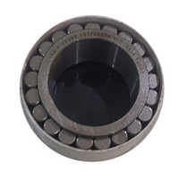 Plannetary Bearing