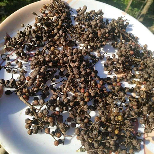 Black Pepper
