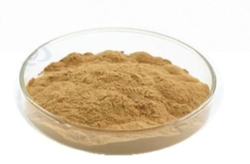 Ecklonia Cava Powder (Herbal Powder)
