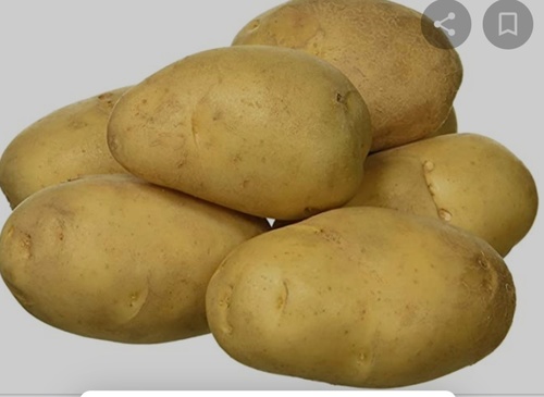 Organic Potato