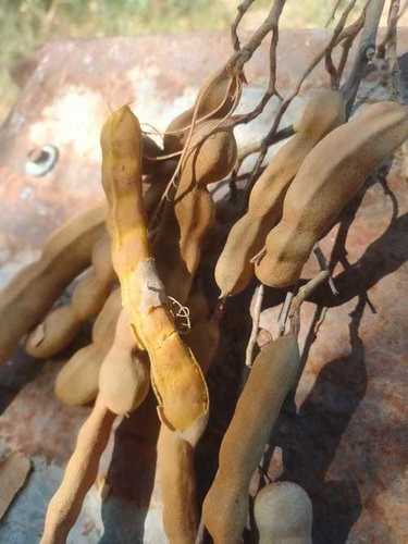 RAW TAMARIND