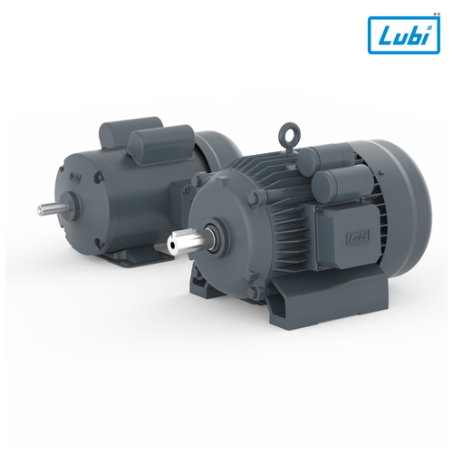 Energy-Efficient Cast Iron Single Phase Induction Motors (Mms Series) Warranty: Yes