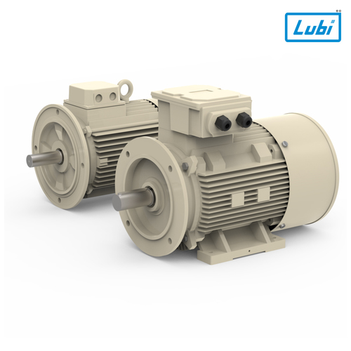 Energy Efficient Cast Iron Three Phase Induction Motors