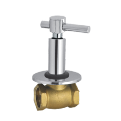 Flush Valve With Wall Flange