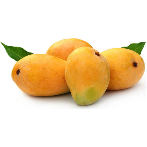 Fresh Mango