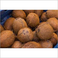 Fresh Coconut - Hus ked, Medium Size, Brown Color | Organic, Mature, Non-Glutinous, Whole with Nutty and Fresh Taste, 30 Days Shelf Life