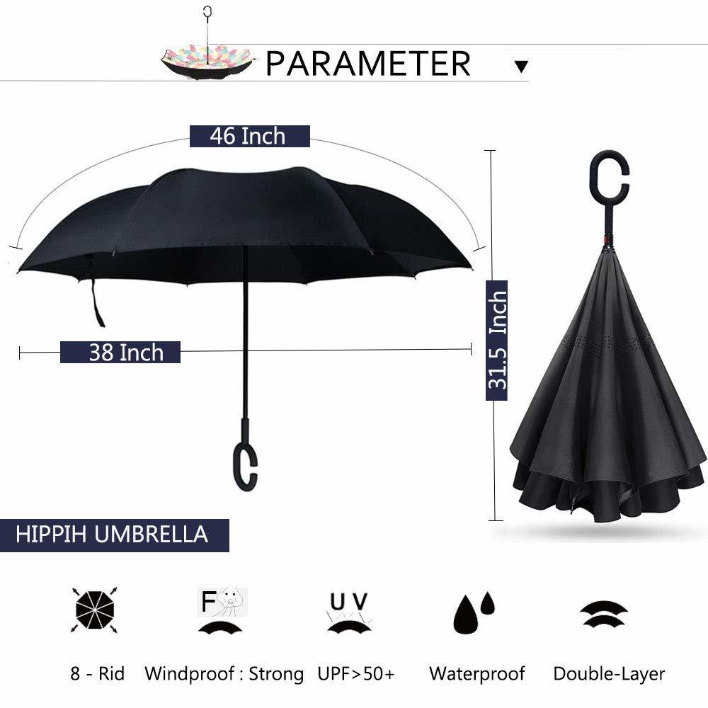 C Umbrella