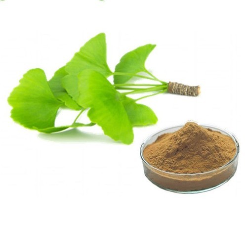 Ginkgo Biloba Leaf Extract (Ginkgo Biloba Leaf Extract )