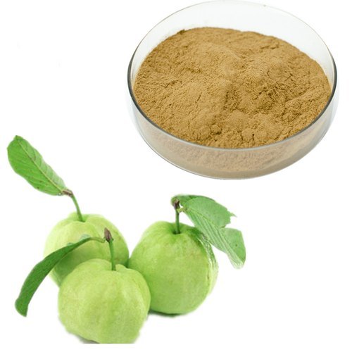 Guava Leaf Extract (Amrood Extract) Psidium guajava Extract