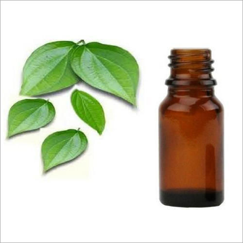 Betel Leaf Oil