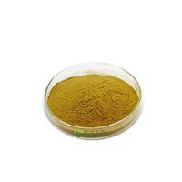 Hops Extract - 1% - 99% Huperzine A Yellow Brown Powder | 100% Purity, Solvent Extracted, Mild Smell, 24 Months Shelf Life, Available In 25 Kg Hdpe Drums