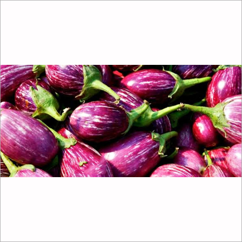 Fresh Brinjal - Organic, Natural Shape | Culinary Versatility for Global Cuisine