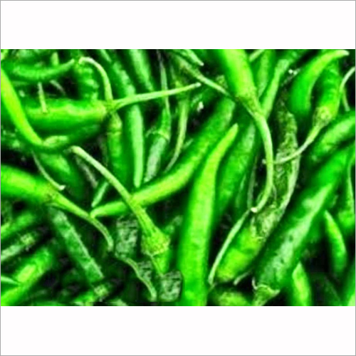 Fresh Chilly - Organic, Natural Shape| Versatile Food Ingredient for Culinary Applications, Export-Ready for Worldwide Distribution