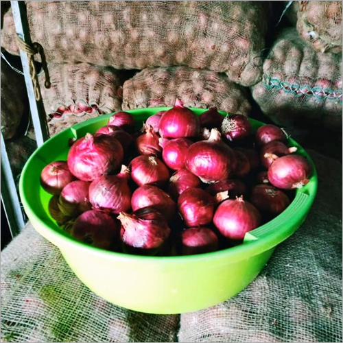 Fresh Onion - Organic, Natural Shape | Ideal for Diverse Culinary Uses and Worldwide Export