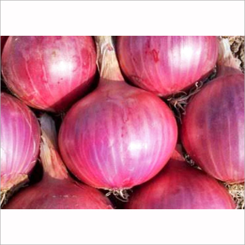 Red Onion - Organic Natural Shape | Ideal for Culinary Uses, Export Quality