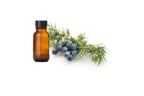 Juniper Berry Oil (Juniperus Communis Oil)