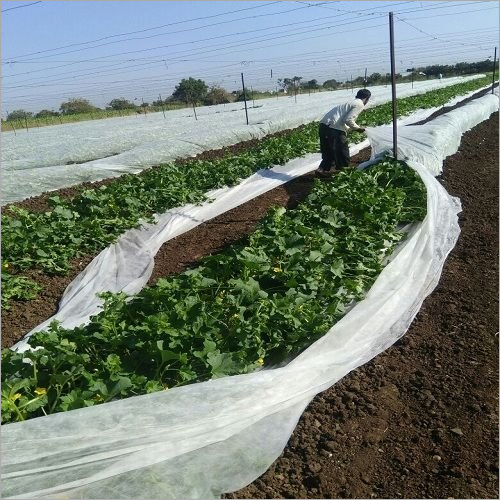 Agricultural Non Woven Fabric Cover