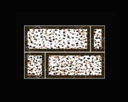 300x450 Elevation Tiles