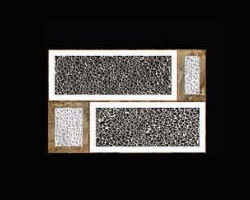 300 x 450mm Digital Elevation Wall Tiles